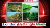 অনিরাপদ সুন্দরবনের উপকূল, বিপর্যস্ত জীববৈচিত্র্য