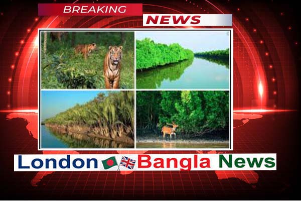 অনিরাপদ সুন্দরবনের উপকূল, বিপর্যস্ত জীববৈচিত্র্য