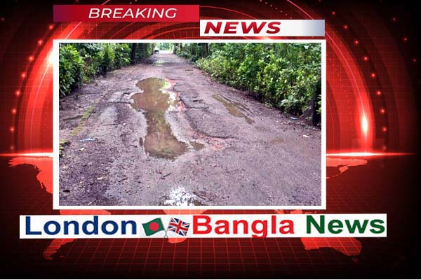 খানা-খন্দে জর্জরিত বাধাল-মসনী-পিংগুড়িয়া সড়ক