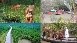বিশ্ব ঐতিহ্য সুন্দরবনে ভ্রমণ নিয়ন্ত্রণে চূড়ান্ত নীতিমালা!