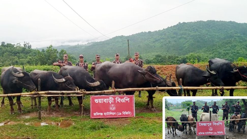 সিলেট সীমান্তে পালালো কারবারি, বিজিবি পেল যা