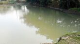 নবীগঞ্জে পানিতে ডুবে প্রাণগেল তিন শিশুর