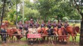 সুনামগঞ্জের দোয়ারাবাজার সীমান্তে ভারতীয় ১৪ গরু আটক