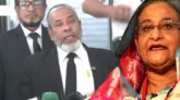 শেখ হাসিনাকে নিরপরাধ দাবি খালাস চাইলেন রাষ্ট্রনিযুক্ত আইনজীবী