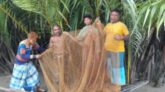 সুন্দরবনের কচিখালীতে অবৈধ মাছ ধরার সময় কুখ্যাত জেলে লিটন মাতুব্বরসহ ৪ জন আটক 