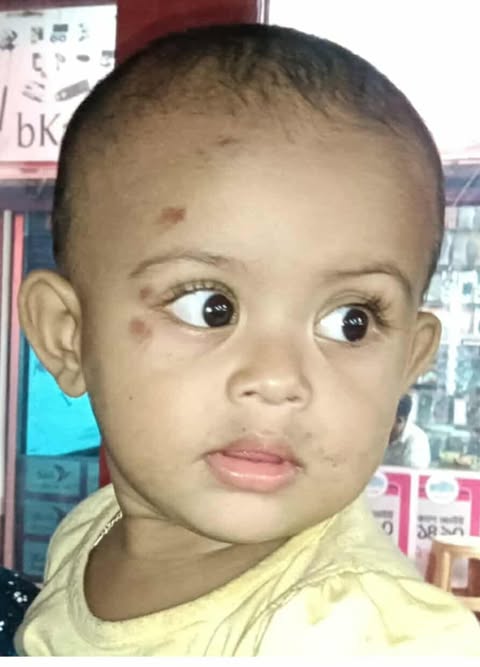 নবীগঞ্জে অবুঝ ১৫ মাসের শিশুকে প্রাণে হত্যার গুরুতর ভাবে হামলা