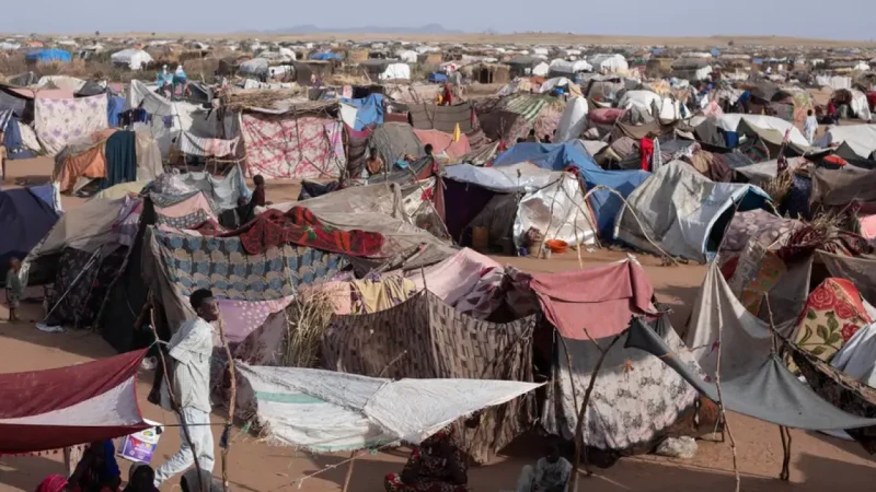 সুদানে যুদ্ধবিরতিতে রাজি আরএসএফ