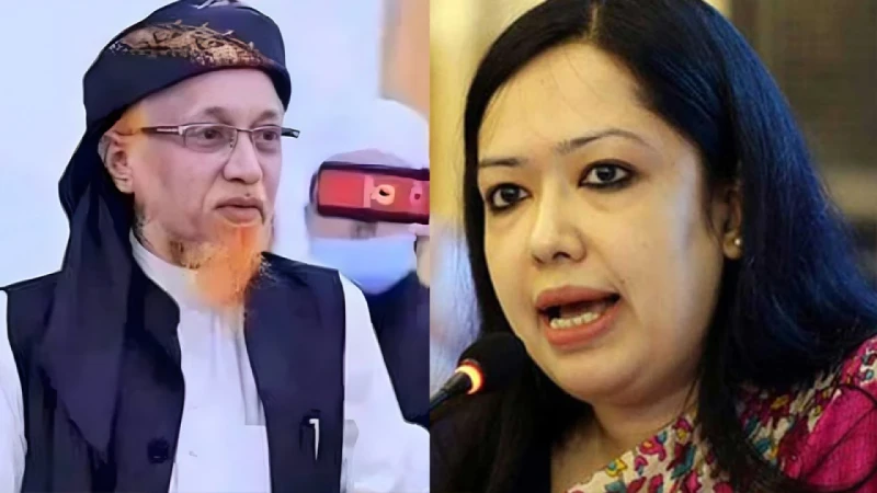 বিএনপি সমর্থিত প্রার্থী জুনায়েদের বিপক্ষে লড়বেন রুমিন ফারহানা