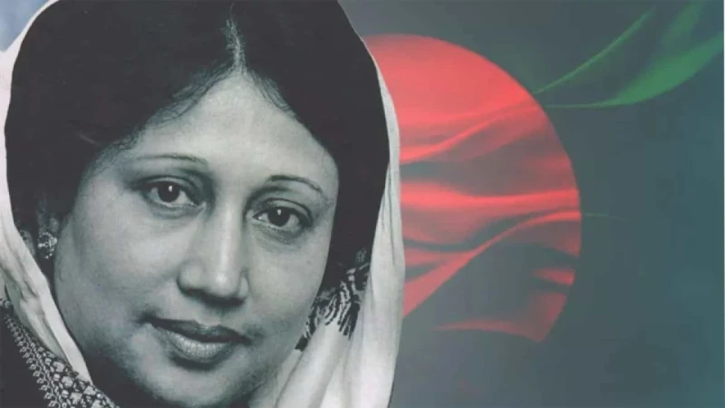 পুতুল থেকে খালেদা জিয়া, গৃহিনী থেকে দেশনেত্রী