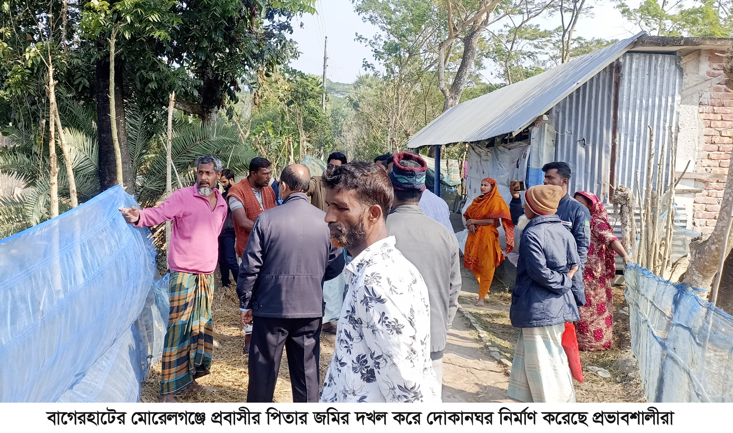 মোরেলগঞ্জে প্রবাসীর জমি দখল ও জোরপূর্বক ধান কাটার অভিযোগ