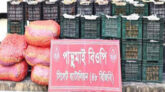 সিলেটে জব্দ ১ কোটি ৯ লাখ টাকার ভারতীয় পণ্য
