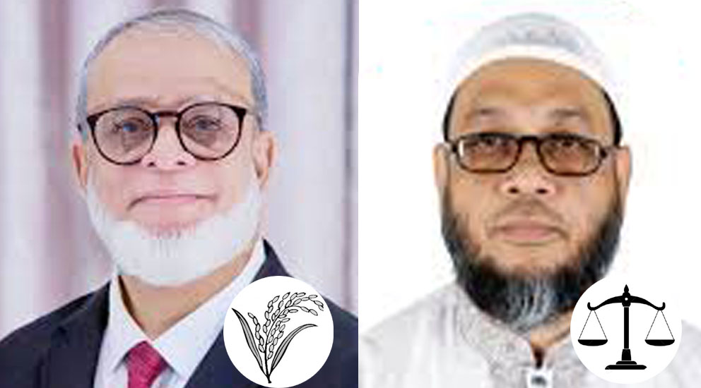 মৌলভীবাজার-২ আসনে বিএনপি-জামায়াত হাড্ডাহাড্ডি লড়াই