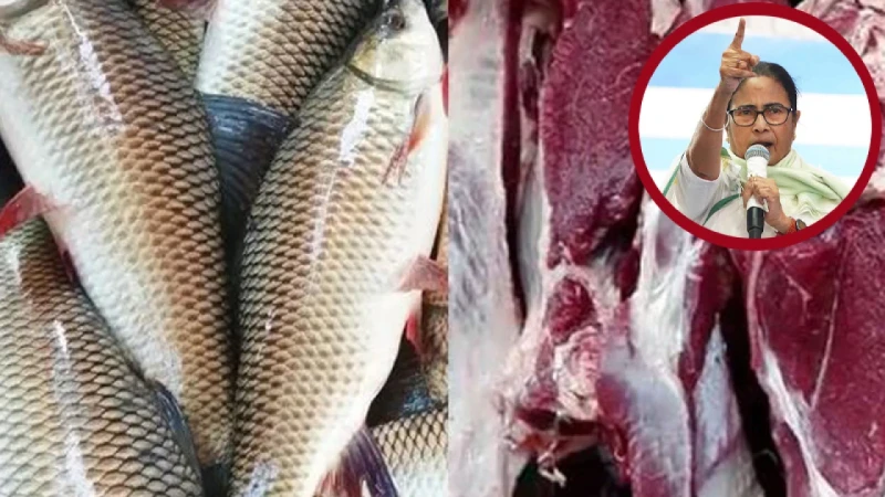 প্রকাশ্যে মাছ-মাংস বিক্রি বন্ধ বিহারে, মুখ্যমন্ত্রী মমতার ক্ষোভ