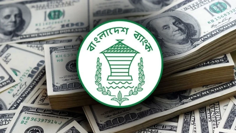 ২২ দিনে রেমিট্যান্স এলো ২৪৮ কোটি ডলার