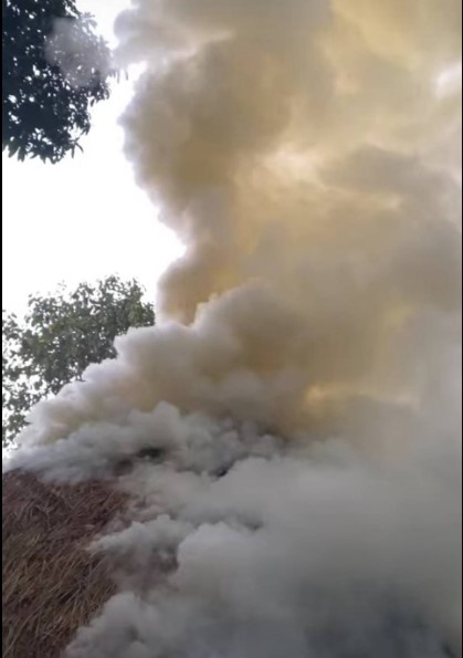 গোলাপগঞ্জের লক্ষণাবন্দ পুরকায়স্থ পাড়ায় খড়ের ফেইনে ভয়াবহ অগ্নিকান্ড