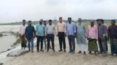 ধর্মপাশায় বিভিন্ন হাওরের ফসল রক্ষা বাঁধ পরিদর্শনে ইউএনও- জনি রায়