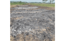 কমলগঞ্জে দুবৃর্ত্তের আগুনে কৃষকের স্বপ্ন পুড়ে ছাই