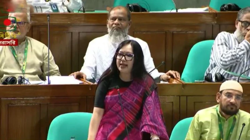 বিএনপিকে ধন্যবাদ জানাই আমাকে মনোনয়ন না দেওয়ার জন্য সংসদে রুমিন ফারহানা
