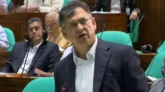 সাবেক ক্রীড়া উপদেষ্টা গায়ের জোরে বিসিবি দখল করেছিল: সংসদে স্বরাষ্ট্রমন্ত্রী