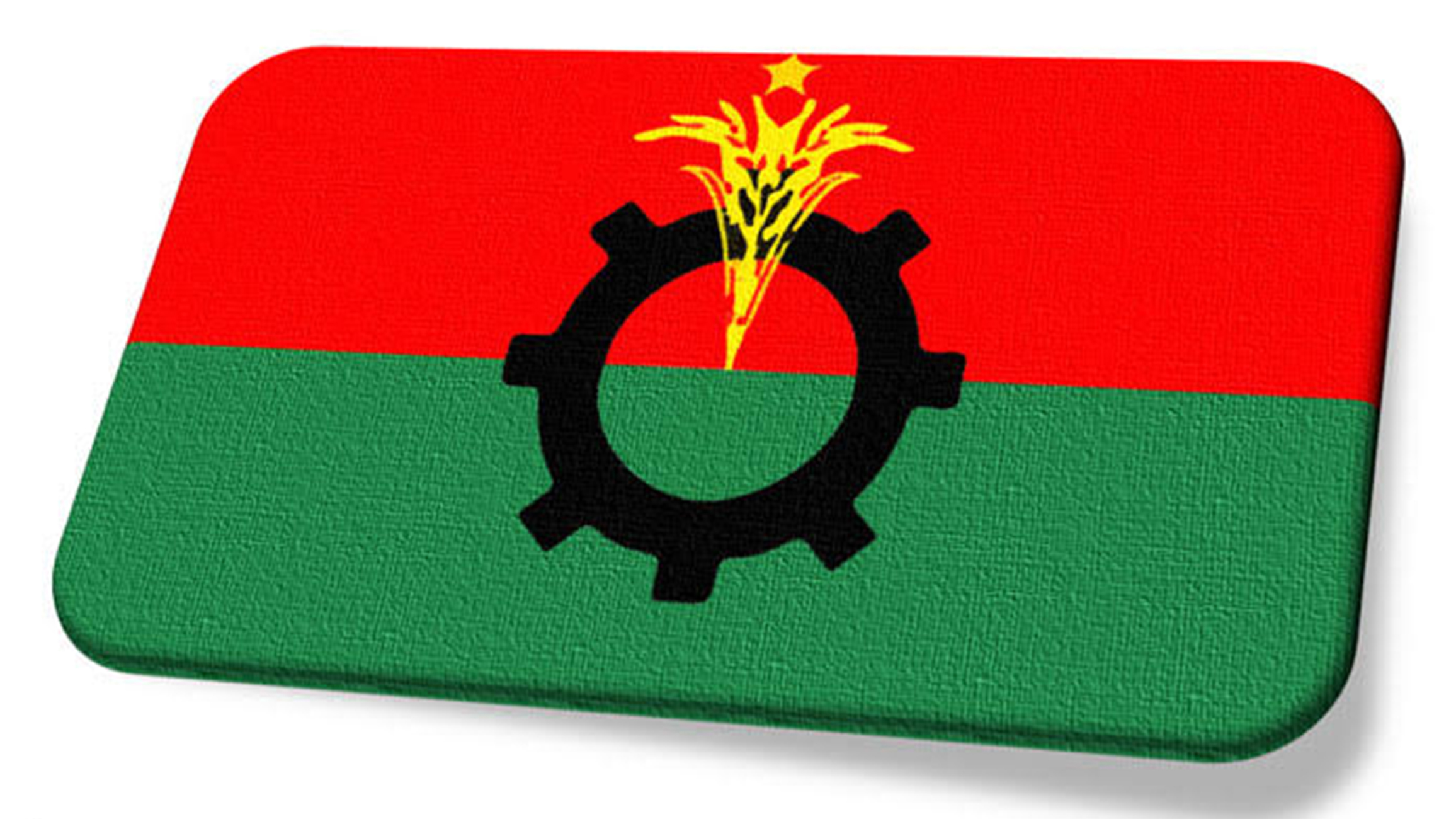 স্বাধীনতা দিবসে বিএনপির নীরবতা, ক্ষোভ ও সমালোচনা  অস্টেলিয়ায়