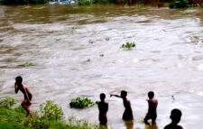 জগন্নাথপুরে দ্রুত বোরো ধান কর্তনের তাগিদ