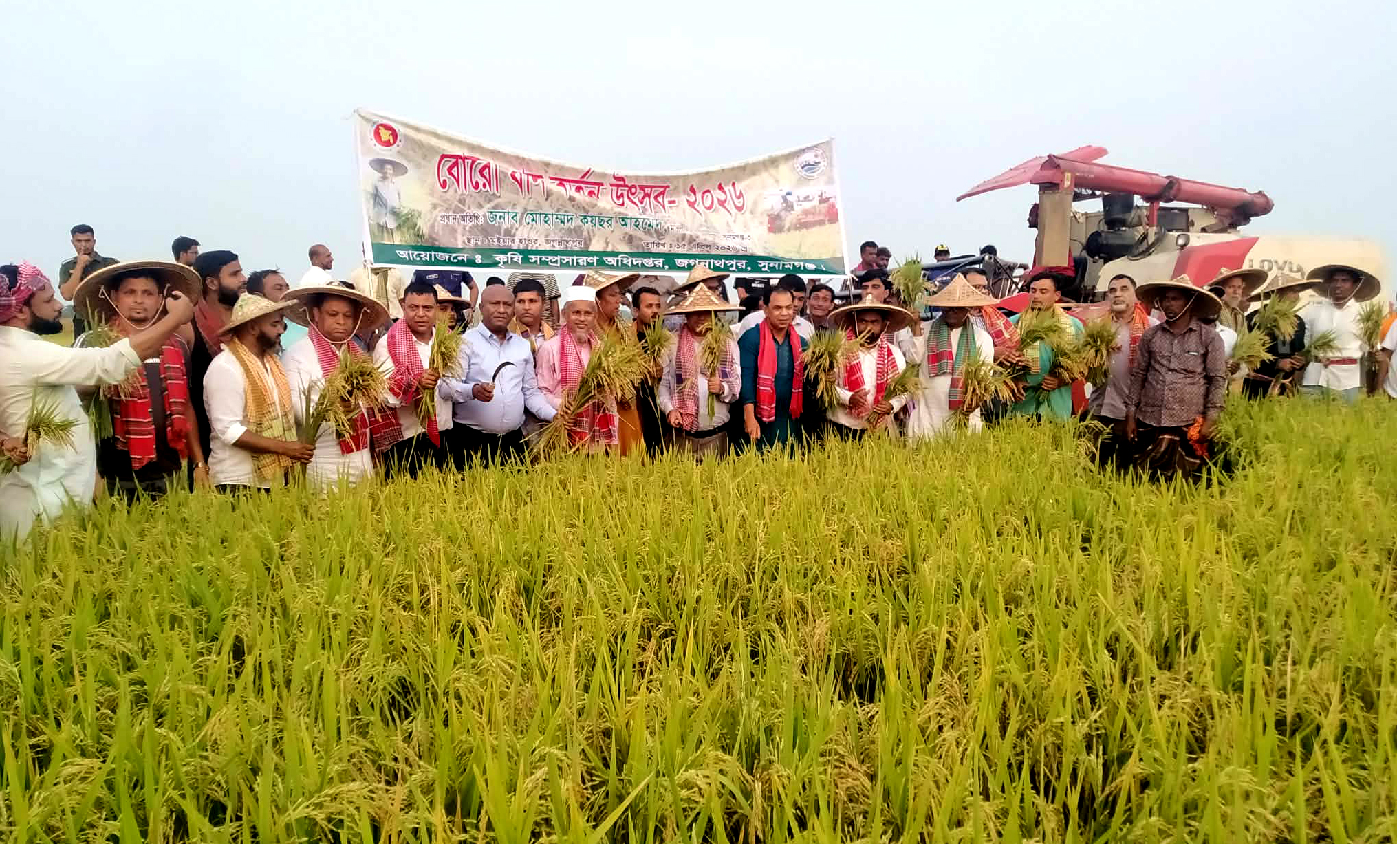 জগন্নাথপুরে আনুষ্ঠানিকভাবে বোরো ধান কর্তন উদ্বোধন