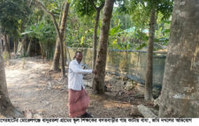 মোরেলগঞ্জে শিক্ষকের জমি দখল ও হয়রানির অভিযোগ