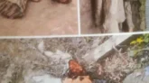 নবীগঞ্জে এক ইউপি সদস্যের বিরুদ্ধে সরকারী গাছ কাটার দায়ে ইউএনও’র নিকট লিখিত  অভিযোগ