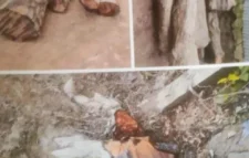 নবীগঞ্জে এক ইউপি সদস্যের বিরুদ্ধে সরকারী গাছ কাটার দায়ে ইউএনও’র নিকট লিখিত  অভিযোগ