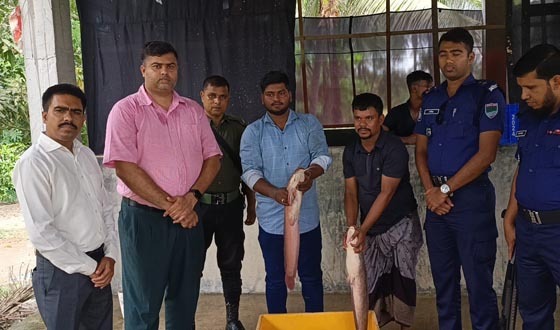 বাগেরহাটে অবৈধ আফ্রিকান মাগুর মাছের হ্যাচারিতে অভিযান ৩০ মন মাছ জব্দ, জরিমানা আদায়