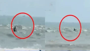 সমুদ্রে ভেসে যাওয়া চার পর্যটক যেভাবে উদ্ধার