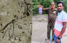 ইউএনওর সরকারি বাসভবন থেকে উদ্ধার ‘ঘরগিন্নি’ সাপ