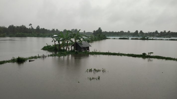 সুন্দরবন উপকূলে চিংড়ির রেণু পোনার তীব্র সংকট