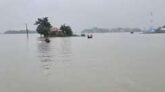 মধ্যনগরে হাওরে মাছ ধরতে গিয়ে কিশোর নিখোঁজ