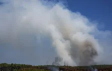 ইউরোপের দাবানলে নতুন আতঙ্কের নাম ‘ফায়ার ক্লাউড’