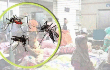 ডেঙ্গুতে আরও ৩ জনের মৃত্যু, খুলনা বিভাগে নতুন আক্রান্ত ৮৫