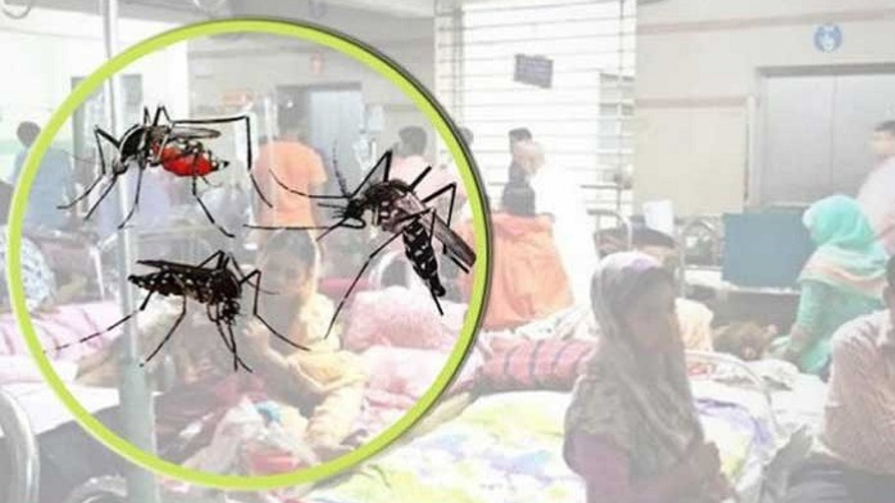 ডেঙ্গুতে আরও ৩ জনের মৃত্যু, খুলনা বিভাগে নতুন আক্রান্ত ৮৫