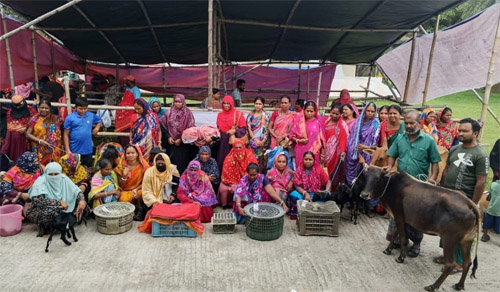 বাগেরহাটে ‘জয় অব গিভিং’ কর্মসূচি ৮০ দুঃস্থ প্রতিবেশী পেল গরু, ছাগল, ভেড়া ও হাঁস-মুরগি