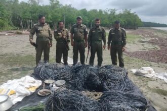 সুন্দরবনে বাড়ছে চোরা শিকারিদের দৌরাত্ম্য এক বছরে ২৯৪ মামলা, গ্রেফতার ৩৯৬