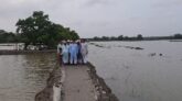 মোরেলগঞ্জের জিউধরা ইউনিয়নে দেড় কিলোমিটার সড়ক নির্মাণে বদলে গেছে জনজীবন