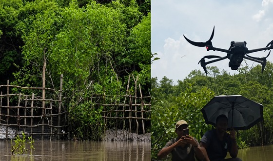 সুন্দরবনের গভীরে অপরাধীদের অনুপ্রবেশ রোধে বন বিভাগের বিশেষ উদ্যোগ, কমছে অপরাধ