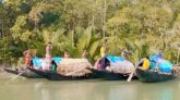 সুন্দরবনের ৮ হাজার ২৭১ জেলে পরিবারের জন্য প্রথমবার ভিজিএফ চাল বরাদ্দ