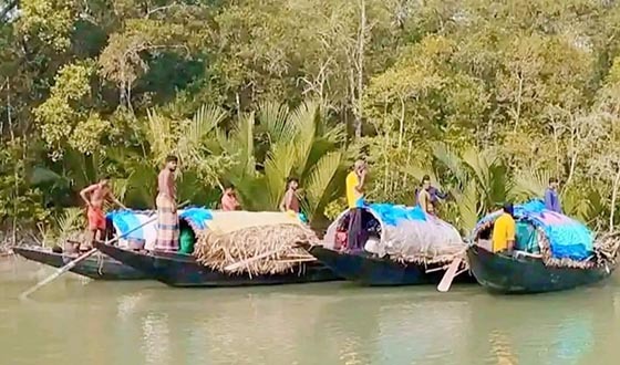 সুন্দরবনের ৮ হাজার ২৭১ জেলে পরিবারের জন্য প্রথমবার ভিজিএফ চাল বরাদ্দ