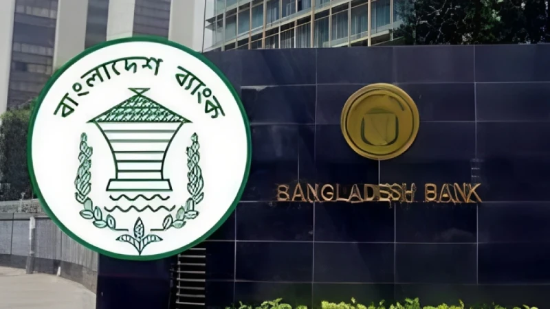 ২০২৬-২৭ অর্থবছর কৃষি ও পল্লী ঋণের লক্ষ্যমাত্রা ৬০ হাজার কোটি টাকা নির্ধারণ