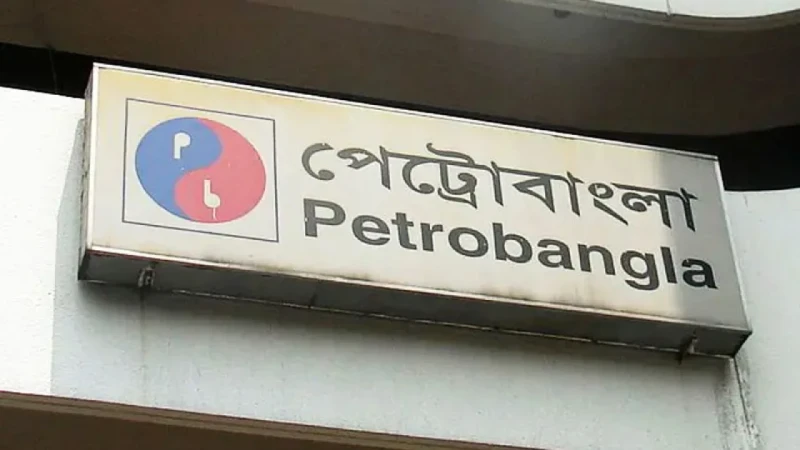 এই মুহূর্তে গ্যাসের দাম বাড়ানোর পরিকল্পনা নেই: পেট্রোবাংলা