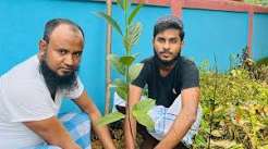 হযরত শাহ আজম (রহ.) দরগাহ্ ফাউন্ডেশনের উদ্যোগে ৬ষ্ট ধাপে টেংরাবাজার বাইতুননূর মাসজিদ সংলগ্ন কবরস্থানে বৃক্ষরোপণ কর্মসূচি সম্পন্ন