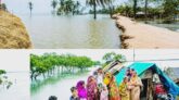 সুন্দরবনের উপকূলে জলবায়ু পরিবর্তনের নির্মম অভিঘাত নারী-শিশুর জীবন কি ক্রমেই অনিরাপদ হয়ে উঠছে?