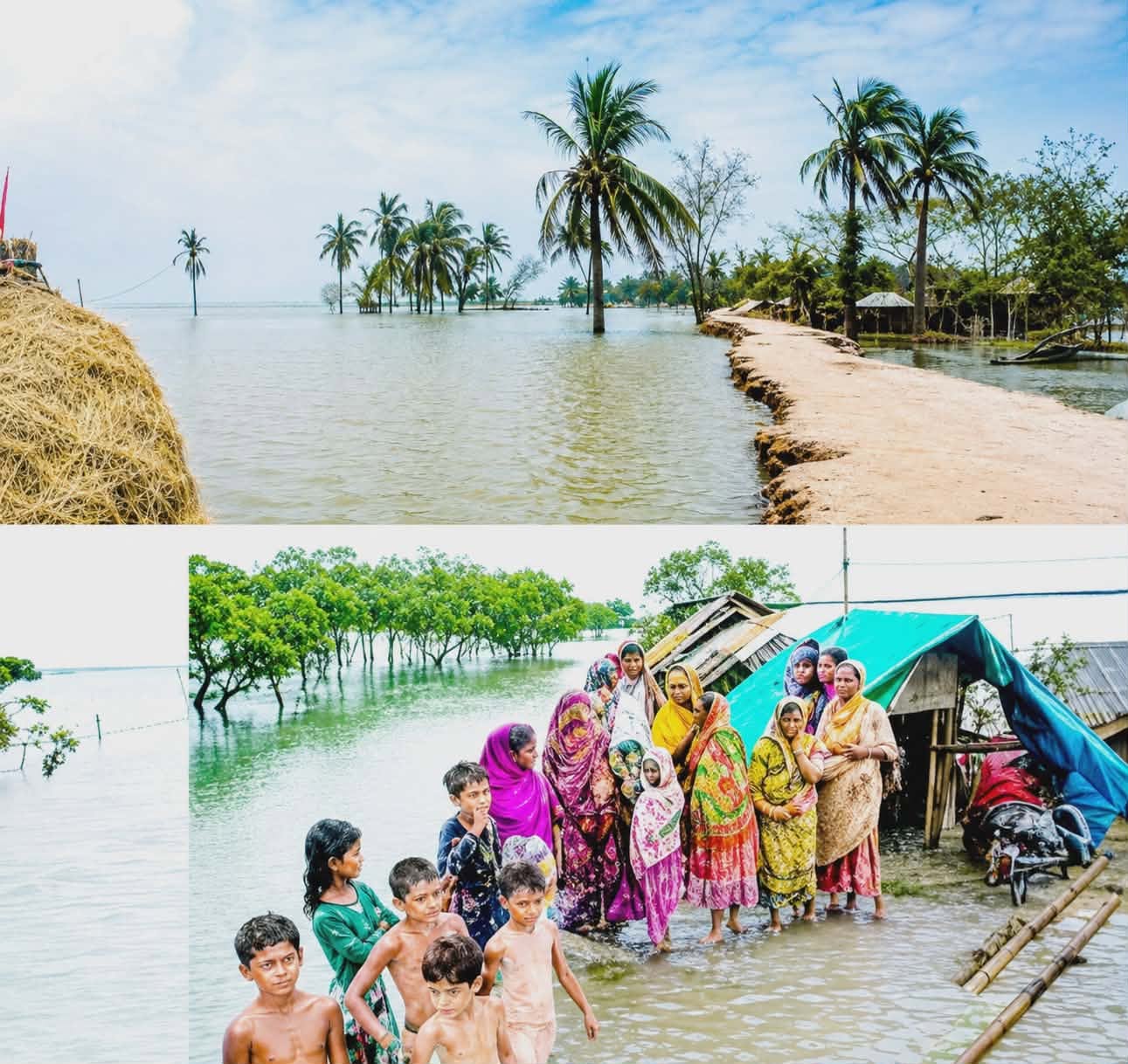 সুন্দরবনের উপকূলে জলবায়ু পরিবর্তনের নির্মম অভিঘাত নারী-শিশুর জীবন কি ক্রমেই অনিরাপদ হয়ে উঠছে?