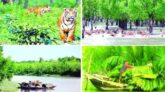 সুন্দরবনের অর্থমূল্য সাড়ে ৫ হাজার কোটি টাকা, তবু সুরক্ষায় কতটা উদ্যোগ?