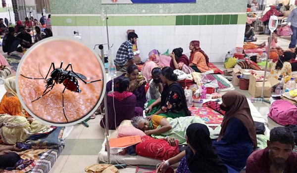 ২৪ ঘণ্টায় ডেঙ্গুতে আরও ২ জনের মৃত্যু, হাসপাতালে ভর্তি ৪২৩